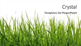  Presentation with white green - Slide deck enhanced with green grass on white background background and a  colored foreground