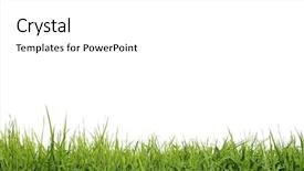  Presentation with white green - Slide set enhanced with green grass on white background background and a white colored foreground