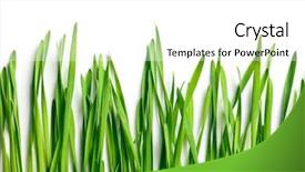  Presentation with white green - Slide set with green grass on white background background and a  colored foreground