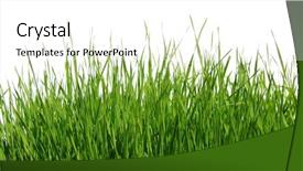  Presentation with white green - Slide set enhanced with green grass on white background background and a  colored foreground