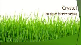 Presentation with white green - Amazing PPT layouts having green grass on white background backdrop and a cream colored foreground