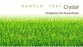  Presentation with white green - PPT layouts consisting of green grass on white background background and a  colored foreground