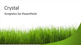  Presentation with white green - Slide set having green grass on white background background and a white colored foreground