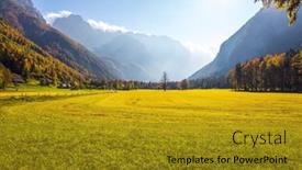  Presentation with golden yellow - PPT theme with green-grass-pasture-meadow-yellow background and a gold colored foreground