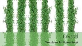  Presentation with white green - PPT layouts having green-grass-pillars-over-white background and a seafoam green colored foreground