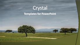  Presentation with tree sky trees green - Amazing presentation having green grass plains and sparse backdrop and a gray colored foreground