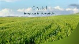  Presentation with agriculture - Presentation featuring green-grass-scenery-of-sicily background and a light blue colored foreground