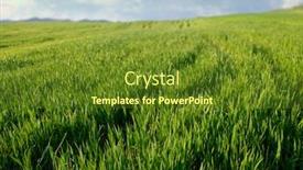  Presentation with agriculture - PPT theme having green-grass-scenery-of-sicily background and a tawny brown colored foreground