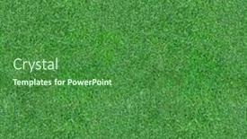  Presentation with green lawn - Amazing slide set having green grass seamless texture grass lawn backdrop backdrop and a forest green colored foreground