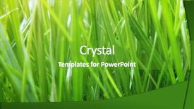  Presentation with element - Slide set enhanced with green grass texture element background and a tawny brown colored foreground