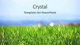  Presentation with blue green - Beautiful presentation theme featuring green grass under blue sky backdrop and a sky blue colored foreground