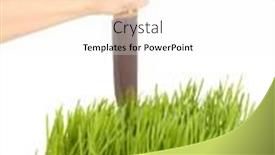  Presentation with white green - Cool new presentation theme with green-grass-with-ground backdrop and a white colored foreground