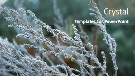  Presentation with green morning - PPT theme having green-grass-with-morning-frost background and a ocean colored foreground