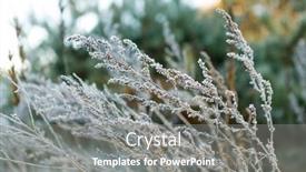  Presentation with green morning - Presentation with green-grass-with-morning-frost background and a gray colored foreground