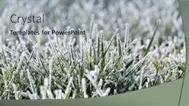  Presentation with green morning - Presentation enhanced with green-grass-with-morning-frost background and a light gray colored foreground