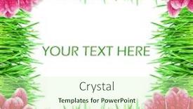  Presentation with pink green - Colorful slide deck enhanced with green-grass-with-pink-colours backdrop and a soft green colored foreground