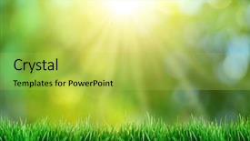  Presentation with sunset - Colorful presentation theme enhanced with vista - green grass with sunset views backdrop and a yellow colored foreground