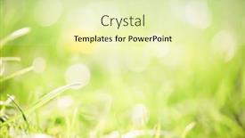  Presentation with mindfulness green - Colorful slide set enhanced with green-grass-with-very-shallow backdrop and a soft green colored foreground