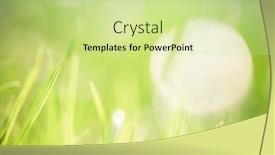  Presentation with mindfulness green - Slide deck having green-grass-with-very-shallow background and a soft green colored foreground