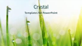  Presentation with fresh water - Theme with green grass with water drop background and a sky blue colored foreground