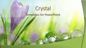  Presentation with leaf water drops fresh - Slide set having green grass with water background and a cream colored foreground