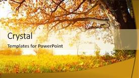  Presentation with oak - PPT layouts having green grass with yellow leaves background and a blonde colored foreground