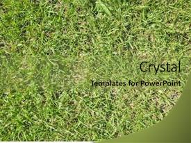 Green Grassland Texture Background PPT template 13 | CrystalGraphics
