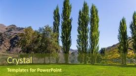  Presentation with green hills - Presentation theme with green grassy lawn by the lake cypress alley blue lake and picturesque hills in surroundings of the cromwell magic new zealand south island the concept of ecological and photo tourism background and a tawny brown colored foreground