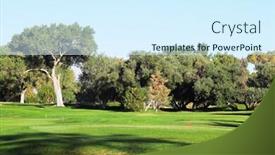  Presentation with green morning - Slide set featuring green grassy lawn and the trees shined morning sun background and a cool aqua colored foreground