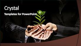  Presentation with sprout - Amazing presentation theme having green growing business - close up of businessmen hands backdrop and a black colored foreground
