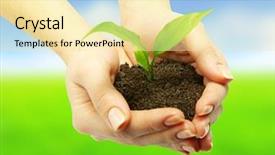  Presentation with plant - Colorful theme enhanced with green growing business - plant between hands backdrop and a  colored foreground