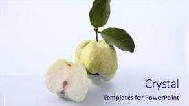  Presentation with guava - PPT theme enhanced with green guava on the white background and a  colored foreground
