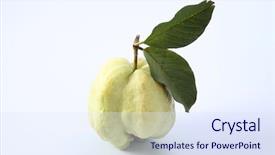  Presentation with guava - Amazing presentation theme having green guava on the white backdrop and a  colored foreground