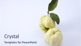  Presentation with guava - Cool new slide deck with green guava on the white backdrop and a  colored foreground