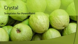  Presentation with guava fruits - Slide set with green guavas close up background and a yellow colored foreground