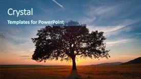  Presentation with green earth - PPT layouts with green heat earth - beautiful and old oak background and a ocean colored foreground