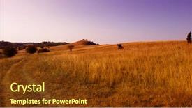  Presentation with tree spring flowers apple flowers - Slide set enhanced with green heat earth - sand spring steppe trees background and a tawny brown colored foreground