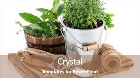  Presentation with garden tools - Amazing presentation design having green herbs with garden tools backdrop and a coral colored foreground