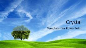  Presentation with green pastures - Slide deck consisting of green hill background and a light blue colored foreground