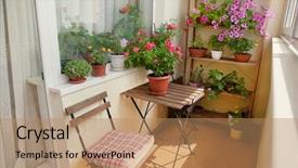  Presentation with beautiful green - Colorful presentation enhanced with green home plants - beautiful balcony with small table backdrop and a coral colored foreground
