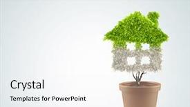  Presentation with green house - Presentation theme enhanced with green home plants - close up image of hand background and a white colored foreground