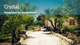  Presentation with green bananas hanging on banana - Cool new PPT layouts with green home plants - ripe lemons hanging backdrop and a teal colored foreground