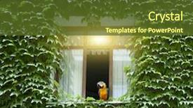  Presentation with house window - Amazing PPT theme having green home plants - wall of a house backdrop and a tawny brown colored foreground