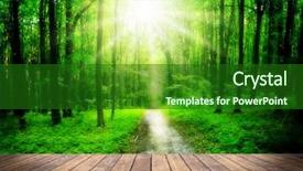  Presentation with wood - Cool new PPT theme with green homes - wood textured backgrounds backdrop and a forest green colored foreground