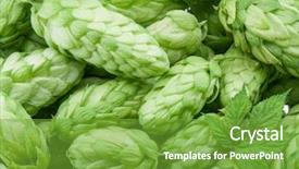  Presentation with green - Presentation design featuring green-hop-cones-ingredient background and a seafoam green colored foreground