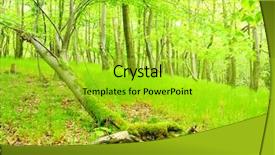  Presentation with bohemian - Amazing presentation theme having green hornbeam wood beautiful scenery backdrop and a  colored foreground