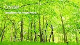  Presentation with bohemian - Cool new theme with green hornbeam wood beautiful scenery backdrop and a shamrock green colored foreground
