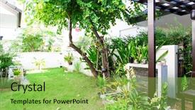  Presentation with green house - Cool new slide deck with green house garden backdrop and a yellow colored foreground