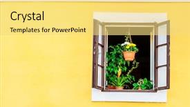  Presentation with green architecture - Audience pleasing presentation theme consisting of green house plants backdrop and a yellow colored foreground