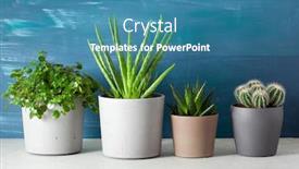  Presentation with aloe vera - Theme with green-houseplants-cactus-succulent-aloe background and a teal colored foreground